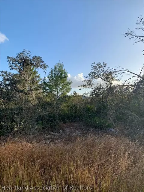 2907 W Seville Dr, Avon Park, FL 33825