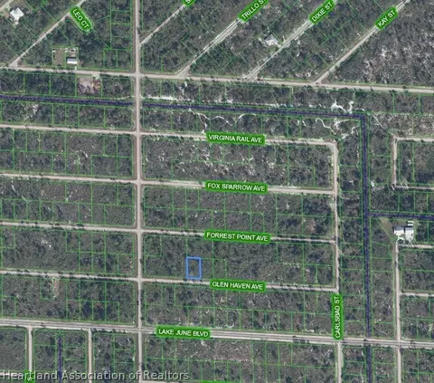 3457 Glen Haven Ave, Lake Placid, FL 33852