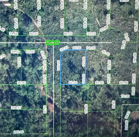 2202 Plum Ct, Sebring, FL 33875