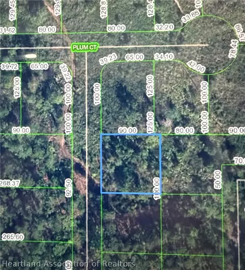 4702 Rhubarb St, Sebring, FL 33875