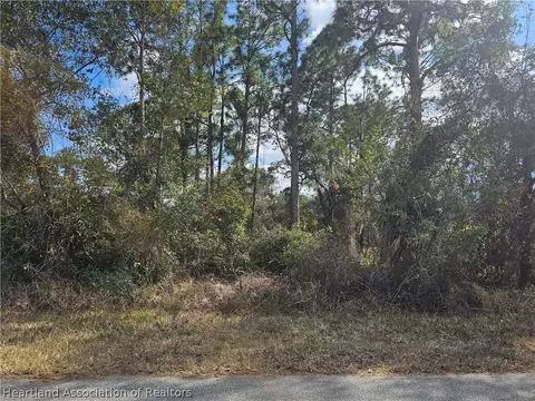 241 Phantasy Ave, Lake Placid, FL 33852