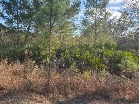 224 Cardinal Ave, Sebring, FL 33870 photo 5