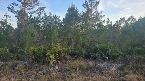455 Darter Ave, Sebring, FL 33870