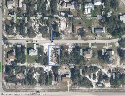 3038 Buttercup Ln, Lake Placid, FL 33852