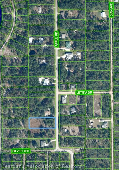 6409 Apple Rd, Sebring, FL 33875 photo 3