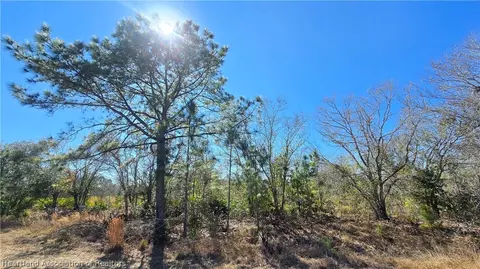 1870 Bear Bryant Rd, Avon Park, FL 33825
