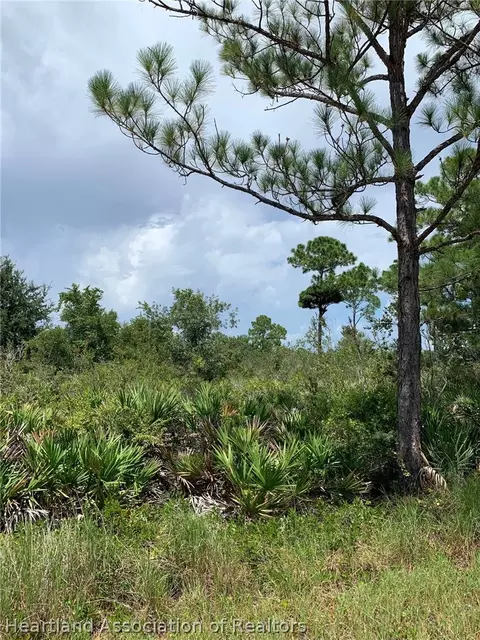 225 Tomahawk St, Lake Placid, FL 33852