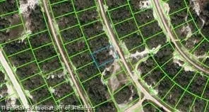 234 Rhythm Dr, Lake Placid, FL 33852