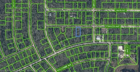 3130 Frances Ave, Lake Placid, FL 33852