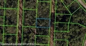 718 Neale St, Lake Placid, FL 33852