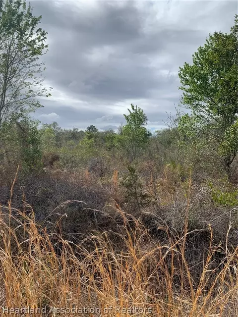 3250 W Josephson Rd, Avon Park, FL 33825