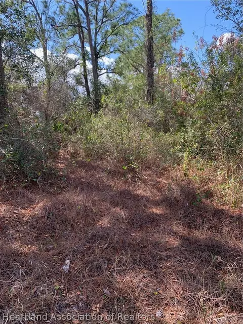 223 E Canal Way NE, Lake Placid, FL 33852
