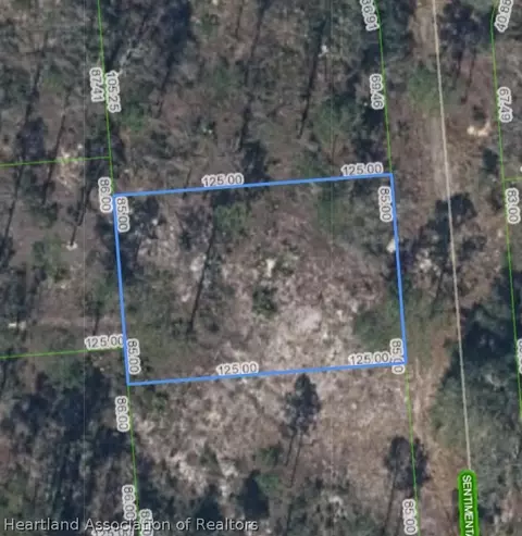 272 Sentimental Dr, Lake Placid, FL 33852