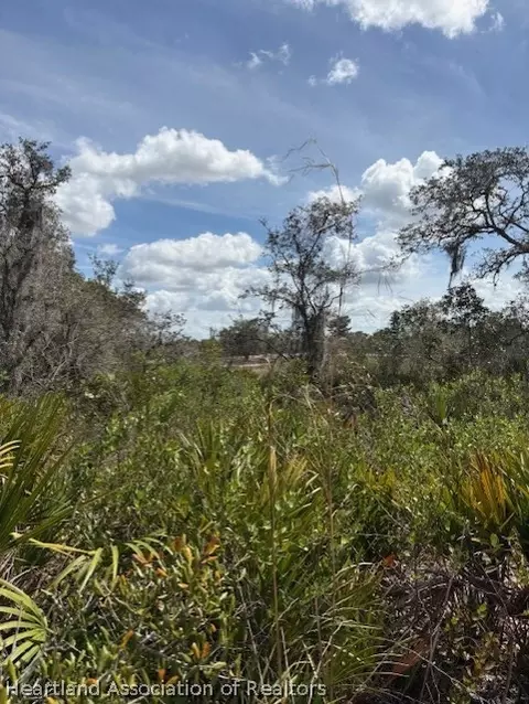 205 Orange St, Lake Placid, FL 33852