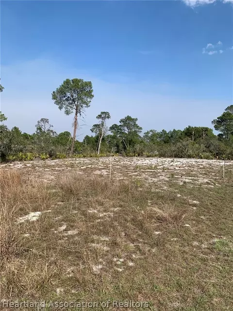 1249 Popinjay Ave, Lake Placid, FL 33852