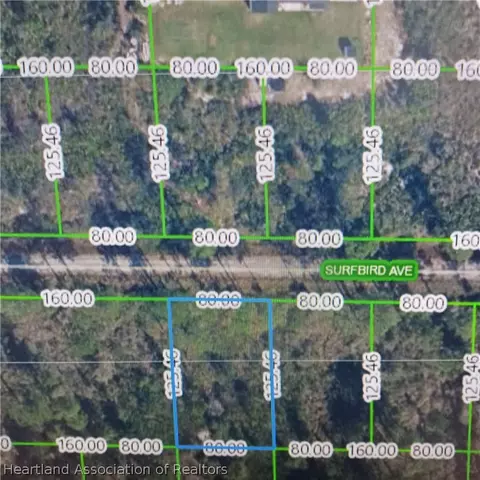 3312 Surbird Ave, Lake Placid, FL 33852