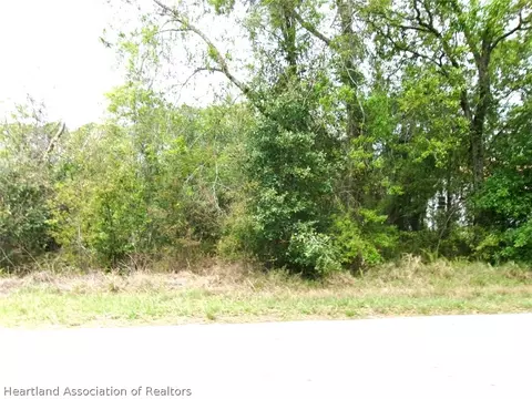 1520 Winter Rd, Lake Placid, FL 33852