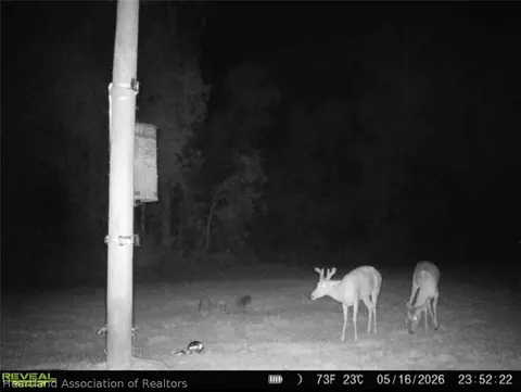 6135 Sr-66, Sebring, FL 33875 photo 22