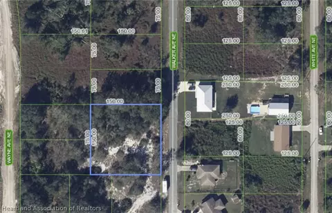 113 Walker Ave NE, Lake Placid, FL 33852