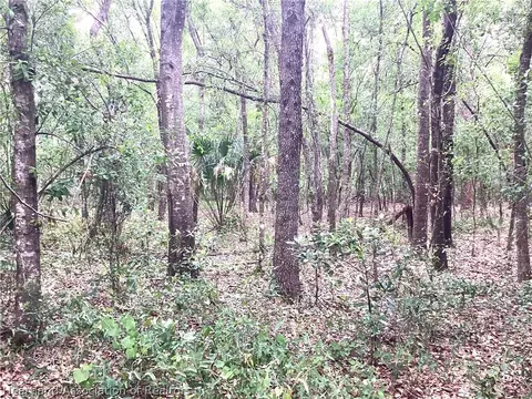 9232 Saddle Path, Sebring, FL 33875 photo 3