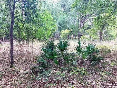 9232 Saddle Path, Sebring, FL 33875 photo 6