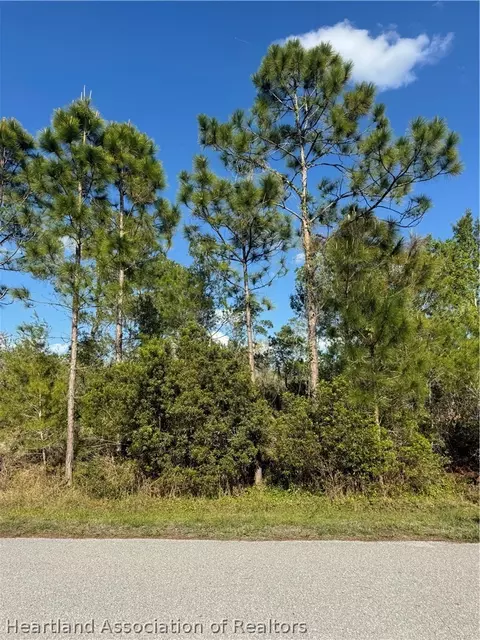 tbd Galapagos Ave NE, Lake Placid, FL 33852