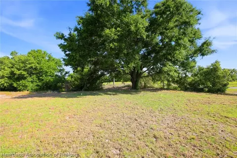 Exterior - 1313 Blue Heron Dr, Sebring, FL 33876 photo 5 of 5