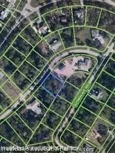 110 Ellison Ave, Lake Placid, FL 33852