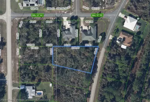 221 Barbados Dr NE, Lake Placid, FL 33852