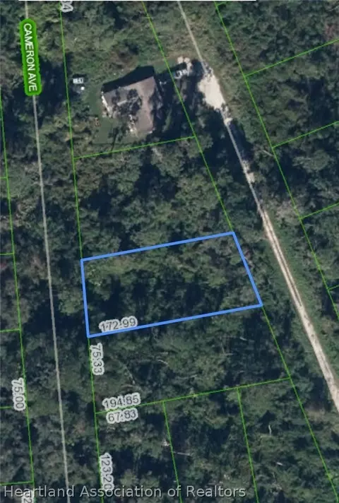 641 Cameron Ave, Lake Placid, FL 33852