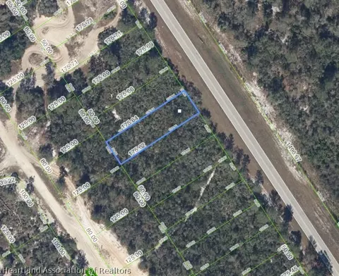 951 County Road 29, Lake Placid, FL 33852