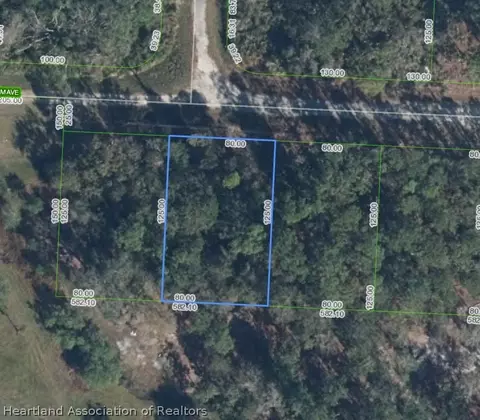 3110 Salem Ave, Lake Placid, FL 33852