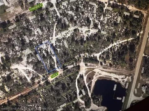 1014 S Magnolia Ave, Lake Placid, FL 33852