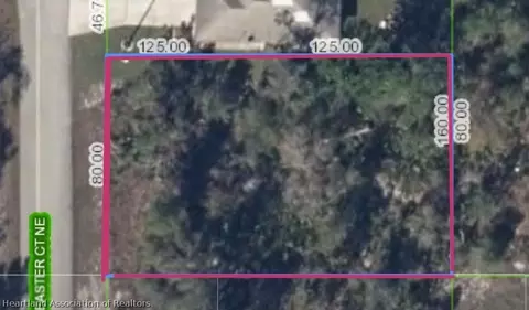 113 Easter Ct NE, Lake Placid, FL 33852