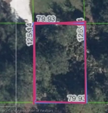 107 Edenwald Ave NW, Lake Placid, FL 33852