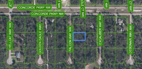 206 Falcon Way NW, Lake Placid, FL 33852