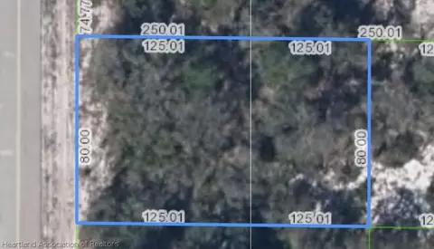210 Delta Ave NW, Lake Placid, FL 33852
