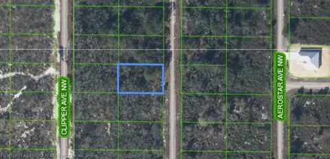 871 Bonanza Ave NW, Lake Placid, FL 33852