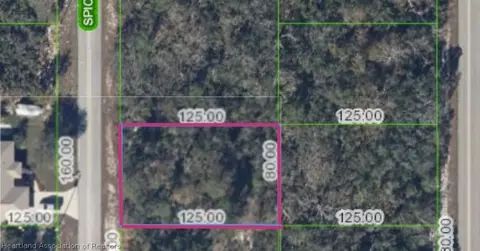 220 Spice Ave NE, Lake Placid, FL 33852
