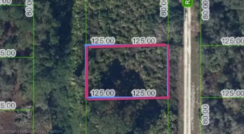 519 Rockefeller Ave, Lake Placid, FL 33852