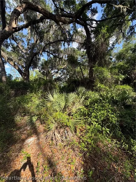 2037 Sr-66 Rte, Sebring, FL 33875 photo 8