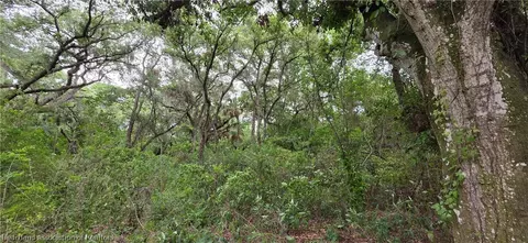 6805 NE 4th St, Okeechobee, FL 34974 photo 9
