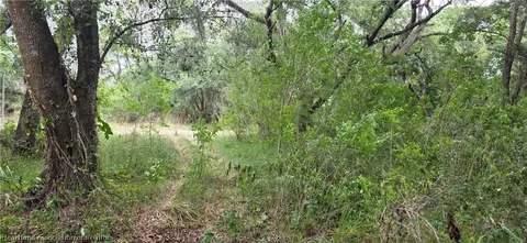 6805 NE 4th St, Okeechobee, FL 34974 photo 11