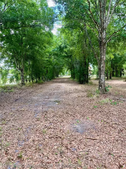1298 Old Bradenton Rd, Wauchula, FL 33873
