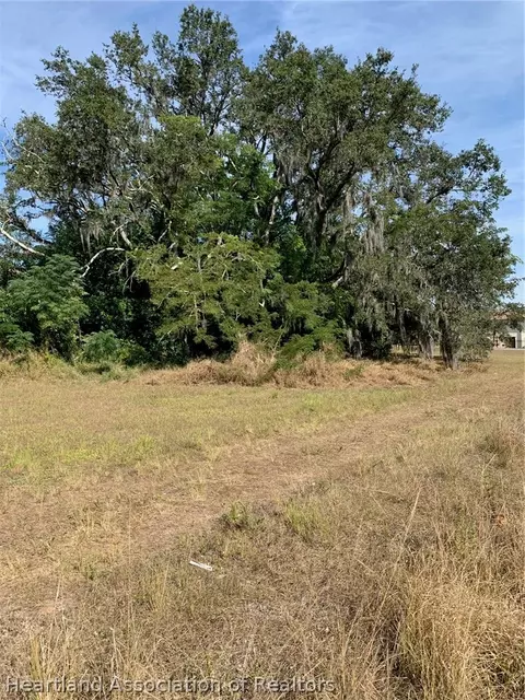 407 E Citico St, Avon Park, FL 33825