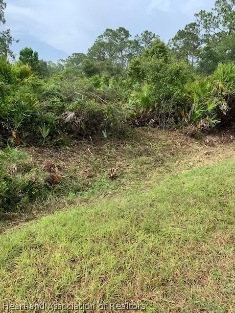 1420 Errol St, Lake Placid, FL 33852