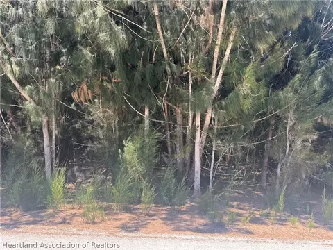 2696 W Jernigan Rd, Avon Park, FL 33825