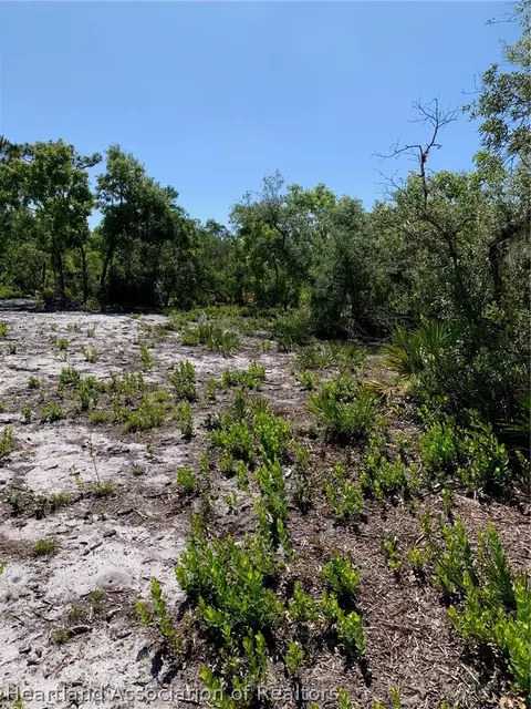 1383 Bologna Rd, Sebring, FL 33870 photo 2