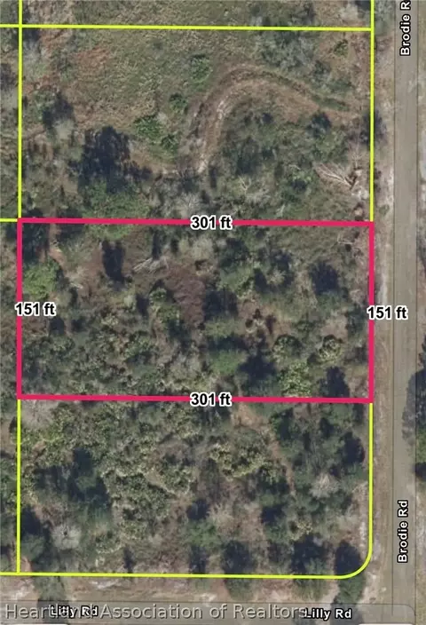 1236 S Brodie Rd, Avon Park, FL 33825