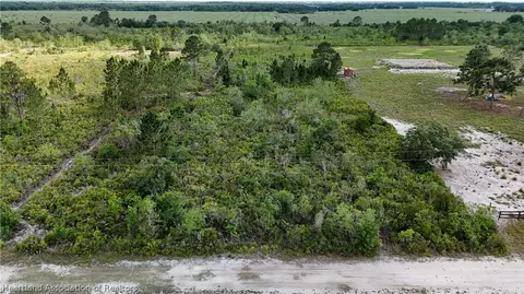 1009 S Range Dr, Lorida, FL 33857 photo 8